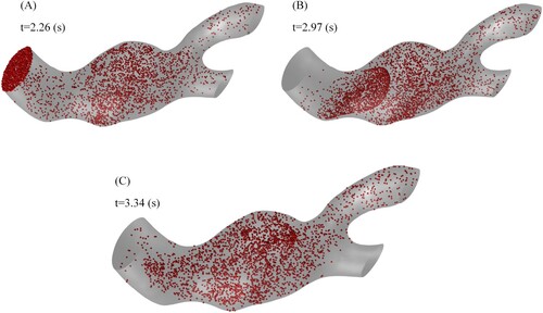 Figure 6. The position of spherical particles inside the AAA at three times, (A) t=2.65[s], (B) t=2.97[s], and (C) t=3.34[s].