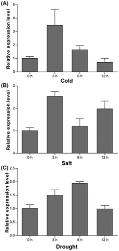 Figure 6. qRT-PCR analysis of the expression profiles of CsTST2 under various abiotic stress conditions including cold (A), salt (B), and drought (C).