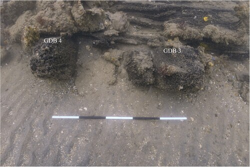 Figure 7. Hanging knee fastened on the aft side of gundeck beam 3 (GDB 3). Scale is 1 m with 20 cm increments (photo by Daniel Pascoe).