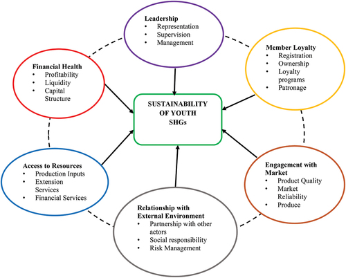Figure 1. Sustainability conceptual framework (adapted from USAID,Citation2019).
