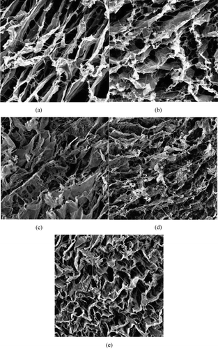 Figure 1. SEM of the porous collagen–HA scaffolds: (a) CH1, (b) CH2, (c) CH3, (d) CH4, (e) CH5.