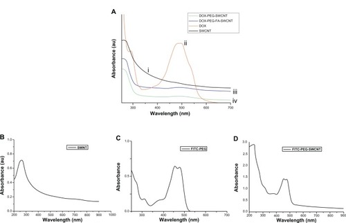 Figure 4 (A) Ultraviolet-visible absorbance spectra of pristine single-walled carbon nanotubes (SWCNTs) (i), plain doxorubicin (DOX) (ii), DOX-folic acid (FA)-polyethylene glycol (PEG)-SWCNTs (iii), and DOX-PEG-SWCNTs (iv). (B) Pristine SWCNTs, (C) fluorescein isothiocyanate (FITC)-PEG, (D) FITC-PEG-SWCNTs.