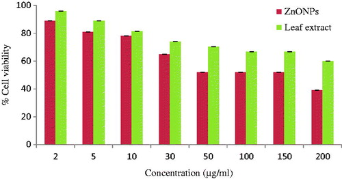 Figure 7. Cytotoxic effect of ZnO NPs against HeLa cells.