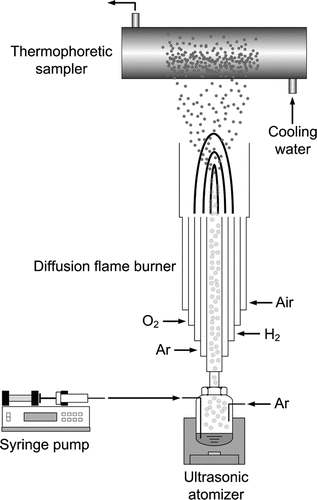 FIG. 1 Schematic drawing of the experimental set-up.