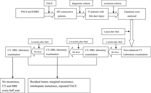 Figure 1 Flow Chart of CT and MRI follow-up after TACE.