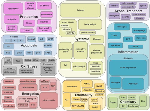 Figure 2. Field map of the most prevalent SOD1-G93A transgenic mouse research topics. The sizes of the boxes represent the relative term frequency. The map illustrates categorical terms required to encompass at least 85% of the articles classified to each of the nine categories: Apoptosis, Axonal transport, Chemistry, Energetics, Excitability, Inflammation, Oxidative stress, Proteomics, and Systemic.