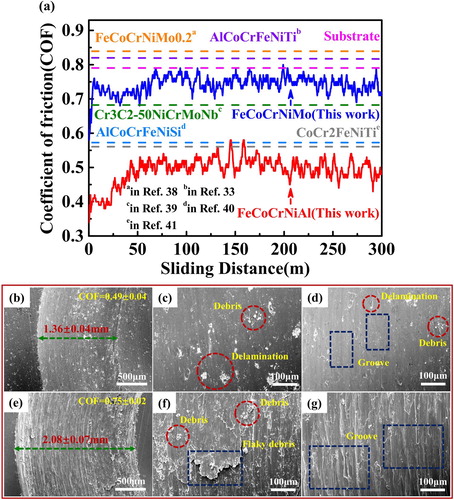 Figure 5. (a) The COFs for CoCrFeNiAl and CoCrFeNiMo HECs by APS and other coatings by thermal spraying [Citation38–41]; The SEM micrographs of the wear traces of (b)-CoCrFeNiAl; (c, d)-higher magnification for CoCrFeNiAl HECs; (e)-CoCrFeNiMo; (f, g)-higher magnification for CoCrFeNiMo HECs.