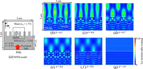 Figure 4. Simulated relative light intensity distribution for subwavelength gratings. Panel (a) presents the FDTD model. Panels (b) to (g) are the results for the region inside the dotted square in panel (a) for the indicated duty ratios d.