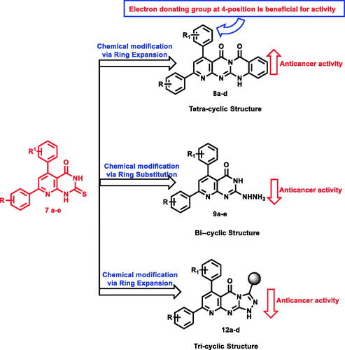 Figure 4. SAR according to modifiable moieties in the target compounds.