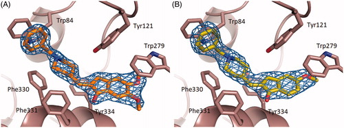 Figure 2. Close-up view of the active site of the TcAChE-1 (A) and (B) TcAChE-2 complexes. The final (2|Fo| − |Fc|, ϕc) σA-weighted electron density map is contoured at 1.5σ. 1 and 2 are shown as stick models with carbon, oxygen and nitrogen atoms colored orange, red and blue, respectively. Selected key protein residues (Cα atoms and side chains) in the vicinity of 1 or 2 are rendered in stick format and labeled appropriately. Hydrogen bonding interactions and water molecules have been omitted for clarity. Created using PyMOL.Citation57