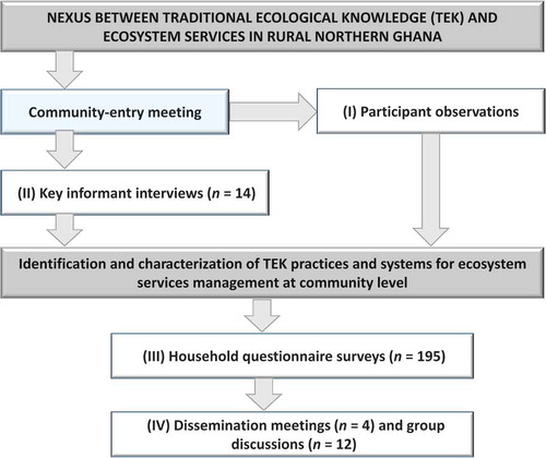 Figure 2. Field data collection process and techniques.