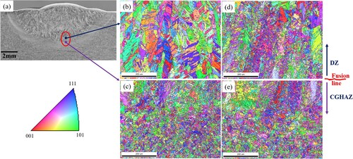 Figure 8. Inverse pole figure of specimens as-deposited condition and after the tensile test: (a) cross-section of the repaired specimen, (b) as-deposited DZ above the fusion line, (c) as-deposited CGHAZ below the fusion line, (d) DZ above the fusion line after the tensile test, (e) CGHAZ below the fusion line after the tensile test.