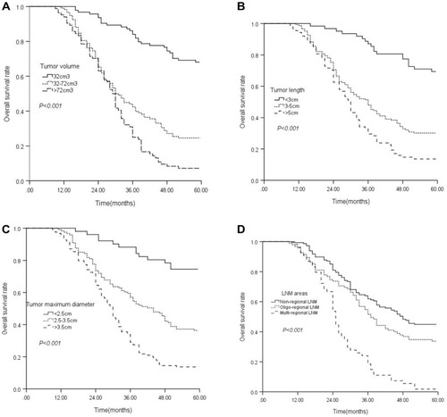 Figure 2 Kaplan–Meier survival curves for overall survival (OS) in patients with ESCC after surgery. (A) 1-, 3-, and 5-year OS of patients with preoperative tumor volume <32 cm3 were longer than those with 32–72 cm3 group or >72 cm3 group. (P< 0.001, log-rank). (B) 1-, 3-, and 5-year OS of patients with preoperative tumor length <3 cm were obvious different from those with 3–5 cm group or >5 cm group. (P < 0.001, log-rank). (C) 1-, 3-, and 5-year OS of patients with preoperative maximum diameter <2.5 cm group were obviously improved compared with patients of 2.5–3.5 cm group or >3.5 cm group. (P < 0.001, log-rank). (D) 1-, 3-, and 5-year OS of patients with non-regional lymph node metastasis group were longer than those with oligo or multiple-regional lymph node metastasis group. (P< 0.001, log-rank).