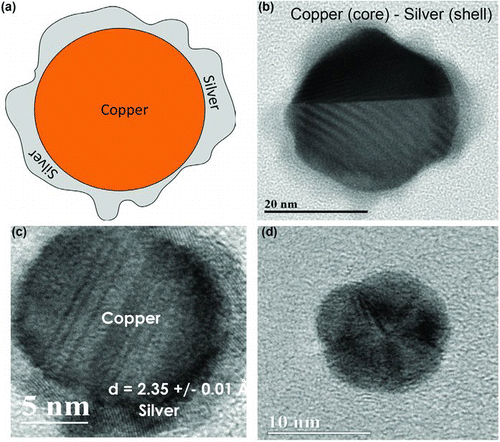 FIG. 9 HRTEM imaging of copper–silver bimetallic particles obtained from precursors with 42.1 wt.% Ag, 57.9 wt.% Cu: (a) illustrative image of core (copper)-shell (silver) particle; (b) core (copper)-shell (silver) morphology seen in high-resolution TEM micrograph; (c) another core (copper)-shell (silver) bimetallic particle with silver as shell, showing a lattice fringe spacing of 2.35 ± 0.01 Å; and (d) a polycrystalline nanoparticle of ∼10 nm size. (Color figure available online.)