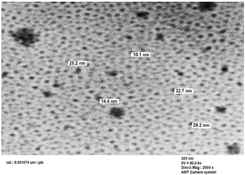 Figure 5 TEM image for selenium nanoparticles synthesized by using compound 2f at room temperature.Abbreviation: TEM, transmission electron microscope.