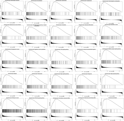 Figure 8. Top 25 positively correlated GSEA enrichment plots