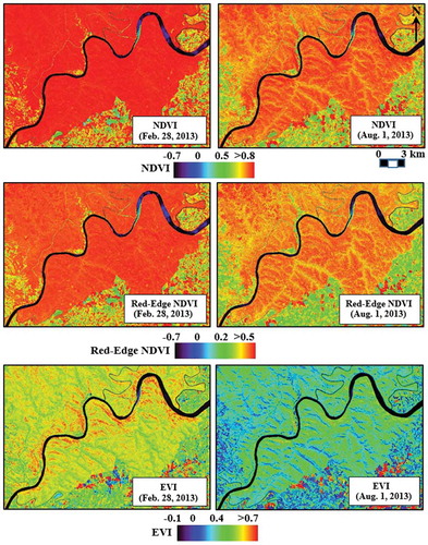 Figure 5. Seasonal variations in NDVI, Red-Edge NDVI, and EVI for non-topographically corrected RapidEye images acquired in the summer (28 February) and winter (1 August) of 2013.