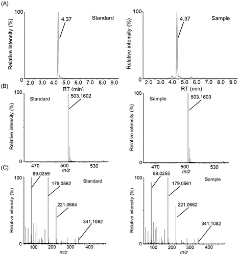 Fig. 8. Identification of raffinose by LC–MS/MS analysis.