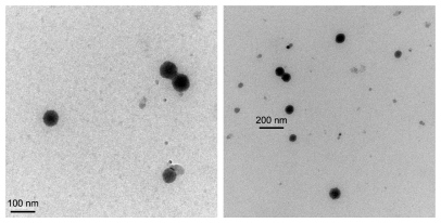 Figure 2 Transmission electron microscopy of tetramethylpyrazine-loaded microemulsion (formulation 6).