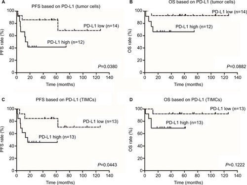 Figure 2 Correlation of PD-L1 expression with PFS and OS in 26 patients with ASCC.Notes: Kaplan–Meier survival curve showing worse progression-free survival for ASCC patients whose tumor cells or TIMCs demonstrated membranous PD-L1 expression (A and C). High PD-L1 expression on tumor cells or TIMCs showed a trend toward poorer prognosis than low PD-L1 expression (B and D).Abbreviations: PD-L1, programmed death-ligand 1; PFS, progression-free survival; OS, overall survival; ASCC, anal squamous cell carcinoma; TIMCs, tumor-infiltrating mononuclear cells.