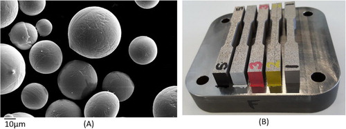 Figure 1. (A) Powder (B) As-built samples.