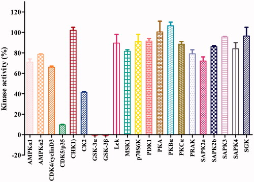 Figure 3. Effects of compound 16b on the activities of 21 protein kinases in vitro. Protein kinases were of human origin and assayed in the presence of 1.0 μM compound 16b or vehicle (DMSO). The enzymatic activity was measured in the presence of Km ATP. Kinase activities were given as the mean of twice determinations. AMPKα1, AMP-activated protein kinase 1; AMPKα2, AMP-activated protein kinase 2; CDK4/cyclinD3, cyclin-dependent protein kinase-4/cyclinD3; CDK5/p35, cyclin-dependent protein kinase-5/p35; CHK1, checkpoint kinase-1; CK2, casein kinase-2; Lck, lymphocyte kinase; MSK1, mitogen- and stress-activated protein kinase-1; p70S6K, p70 ribosomal protein S6 kinase; PDK1, 3-phosphoinositide-dependent protein kinase-1; PKA, cAMP-dependent protein kinase; PKBα, protein kinase Bα; PKCα, protein kinase Cα; PRAK, p38-regulated/activated kinase; SAPK2a, stress-activated protein kinase-2a; SAPK2b, stress-activated protein kinase-2b; SAPK3, stress-activated protein kinase-3; SAPK4, stress-activated protein kinase-4; SGK, serum- and glucocorticoid-induced protein kinase.