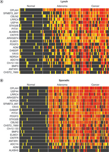 Figure 2. Heat matrices: methylation intensity of methylated DNA marker candidates in independent colorectal tissues from biological validation phase. (A) Lynch syndrome and (B) sporadic tissues. Increasing intensity of yellow-red color spectrum in boxes indicates methylation strand counts in deciles above the 90th percentile values for the control groups (histologically normal mucosa) of each candidate methylated DNA marker (rows) in each tissue sample (columns). Black boxes indicate values falling below the 90th percentile in controls.