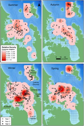 Figure 4. Seasonal relative densities of common dolphins in the inner Hauraki Gulf (IHG) in 2010–2012 and off Great Barrier Island (GBI) in 2011–2012. Darker shading represents higher density cells. The sighting position of each common dolphin group is indicated by a shaded grey dot according to year. Year 1: Jan–Nov 2010; Year 2: Dec 2010–Nov 2011; Year 3: Dec 2011–Nov 2012. Bathymetry is depicted with darker shades of blue representing deeper waters (data courtesy of NIWA; Mackay et al. Citation2012). The 5 × 5 km grid is also shown.