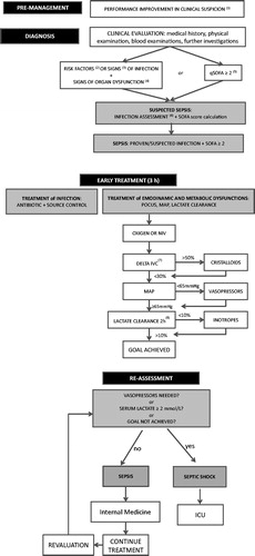 Figure 1. Proposed flow-chart for the assessment and management of patients affected by sepsis in the Internal Medicine wards. Pre-Management: knowledge of sepsis should be increased by the application of education programs, scoring systems, bundles and protocols. Diagnosis: from the clinical evaluation to the suspicion and to the diagnosis of sepsis. Early treatment: optimal treatment to be started within 3 hours from the clinical suspicion of sepsis. Re-Assessment: evaluation of the response to treatment, in order to decide if the patient could be managed in the Internal Medicine ward or needs to be transferred to ICU [Citation12,Citation83]. qSOFA: quick SOFA; SOFA: Sequential Organ Failure Assessment; POCUS: point-of-care ultrasonography; MAP: mean arterial pressure; NIV: non-invasive ventilation; IVC: Inferior vena cava; ICU: Intensive Care Unit. (1) Performance improvement in clinical suspicion of sepsis: continuous education programs (physicians, nurses, affiliate providers), scoring systems for sepsis alarm (e.g. MEWS, qSOFA), use of bundles, protocol development, ongoing feedback. (2) Risk factors for infection: immunosuppression, chronic poly-pathology, poly-pharmacotherapy, recent antibiotic use, cognitive and functional impairment, malnutrition, recent hospitalization, residing in long-term facilities, etc. (3) Signs of infection: fever, headache, cough, dysuria, abdominal pain, etc. (4) Signs of organ dysfunction: dyspnea, oliguria, hypotension, altered mental status, haemorrhage, jaundice, etc. (5) qSOFA: systolic blood pressure <100 mmHg (1 point), respiratory rate >22 (1 point), altered mental status (1 point). (6) Infection assessment: cultures (blood, urine, etc.) before antibiotic administration, chest X-ray, POCUS, C reactive protein, procalcitonin, other radiological investigations (if indicated). (7) Delta IVC: Inferior Vena Cava Collapsibility Index = [(IVCexp – IVCinsp)/IVCexp] × 100. (8) Lactate clearance: [(lactate initial – lactate 2h)/lactate initial] × 100.