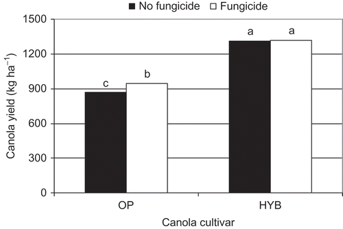 Fig. 4. Yield of canola cultivars (OP and HYB) with and without fungicide treatment. Data are the means of 9 site-years (Melfort 2000–2003 and Scott 1999–2003. Standard error of mean = 276. Bars with the same letter are not significantly different at P ≤ 0.05 according to Fisher's LSD test.