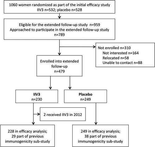 Figure 1. Study allocation and participants.IIV3, inactivated trivalent influenza vaccine