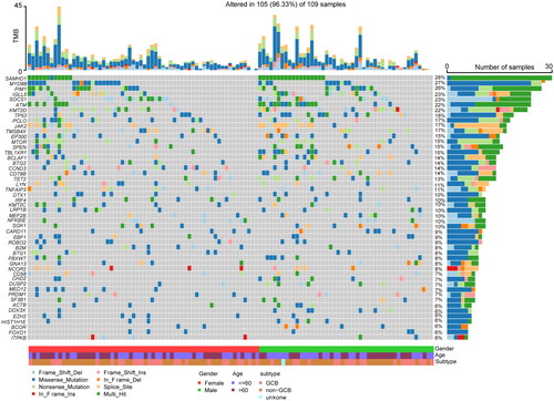 Figure 1. The mutation landscape of 109 patents with primary DLBCL. Top 50 mutated genes found in the 109 DLBCL patients.