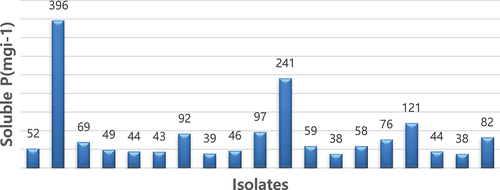 Figure 3. Quantitative estimation of selected PGPR isolates for P solubilization in liquid medium.