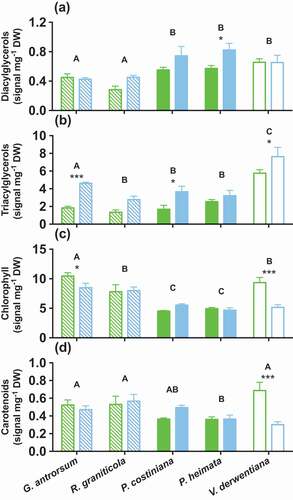 Figure 5. Leaf concentrations of (A) DAGs, (B) TAGs, (C) chlorophylls, and (D) carotenoids in G. antrorsum, R. graniticola, P. costiniana, P. hiemata, and V. derwentiana. Green = SP (low P) site; blue = DHP (high P) site. Dashed bars are herbaceous species, filled bars are grass species, empty bars are sub-shrub species. Values are means ±SE (n = 3). Asterisks indicate significantly different means between sites within each species (*P < 0.05, **P < 0.01, ***P < 0.001); uppercase letters denote significantly different means among species identified by Fisher’s LSD test (P < 0.05)