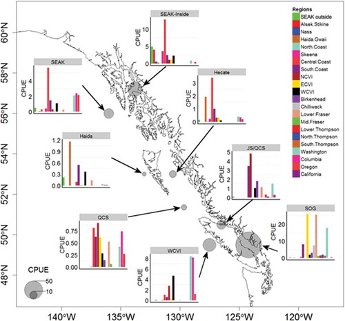 Figure 6. Stock-specific catch per unit effort during summer (June–August) of juvenile Coho Salmon in sampling regions in British Columbia and Southeast Alaska.