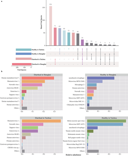 Figure 4. The composition of the gut viral communities at the species level. (a) UpSet plot showing the numbers of shared species in four groups. Filled dots with connected vertical lines represent the intersections, and unfilled dots in light gray represent sets that do not belong to the intersections. The vertical bars represent the number of viral species within the intersections, and the horizontal bars represent the total number of viral species in each group. (b) Bar plots of the top nine most abundant viral species in each group. The shared viral species among each group are indicated with the same color. The horizontal axis indicates the relative abundance of reads assigned to each viral species.