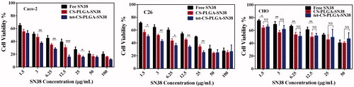 Figure 6. Cytotoxicity of free SN38, CS-PLGA-SN38 NPs and tet-CS-PLGA-SN38 NPs on the Caco-2, C26 and CHO cell lines (mean ± SD, n = 4). p > .5 is considered as non-significant (ns), *p < .05, **p < .01, ***p < .001.