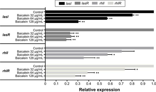 Figure 9 Relative expression levels of quorum sensing-regulated genes of Pseudomonas aeruginosa PAO1 in the presence of sub-minimum inhibitory concentration levels of baicalein, as determined by real-time polymerase chain reaction.