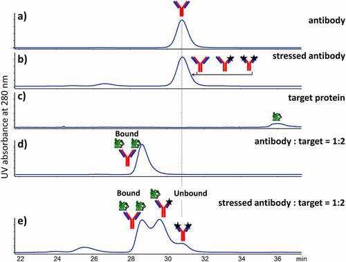 Figure 2. Size-exclusion chromatography with UV detection (at 280 nm) profiles of (a) antibody, (b) stressed antibody, (c) target protein, (d) antibody-target mixture and (e) stressed antibody – target mixture