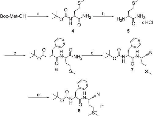 Scheme 2.  Synthesis of compound 8. Reagents and conditions: (a) (i) N- methylmorpholine, ClCO2CH2CH(CH3)2, THF; (ii) 25% NH3, −25°C to room temperature; (b) 4 N HCl/dioxane, room temperature; (c) (i) Boc-Phe-OH, N-methylmorpholine, ClCO2CH2CH(CH3)2, THF; (ii) 7 in 1 N NaOH/H2O, −25°C to room temperature; (d) (ClCN)3, DMF, room temperature; (e) CH3I, ethyl acetate, room temperature.