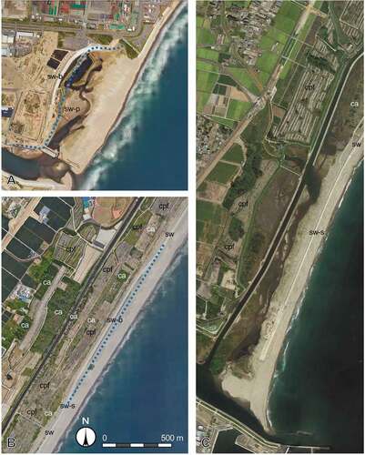 Figure 5. Satellite images of reconstruction sites including biodiversity conservation after GEJE. A: Gamo tidal flat in Sendai city, Miyagi Prefecture, Japan (May 3 2019). B: Okada and Okadashinhama in Sendai city, Miyagi Prefecture, Japan (June 7 2018). C: Ido and Idohama in Sendai city, Miyagi Prefecture, Japan (September 19 2018). All images are downloaded from Google Earth on August 28 2020.