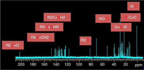 Fig. 6 13C spectrum of the sample with assignment to different groups of carbon.