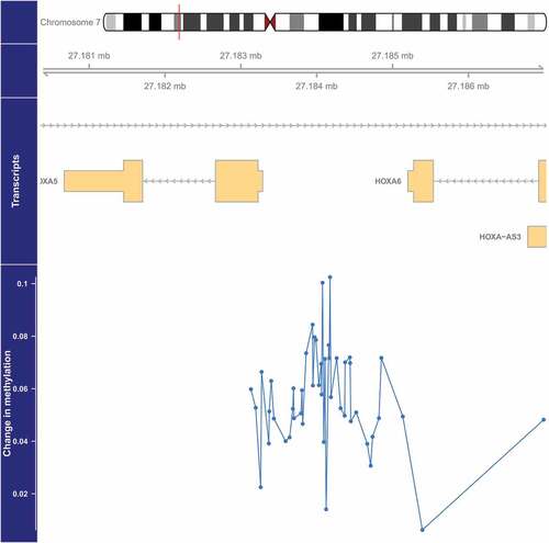 Figure 4. Genome-wide significant differentially methylated region associated with PM2.5 located at chromosome 7 (location: 27,183,274–27,184,109). The top portion of this plot is a karyogram of chromosome 7, with a red vertical bar indicating the location of interest. Below that is a graphic showing the exact chromosomal location in Mb, followed by pictograms of the HOXA5, HOXA6, and HOXA-AS3 genes (hg19). Tan boxes represent exons (vertically narrow portions are untranslated regions), and grey lines with arrows represent introns, as well as the direction of transcription (arrows pointing to the left indicate that this gene is transcribed from right to left, implying it is on the minus strand, and vice versa for arrows point to the right). The bottom section presents evidence for differential methylation of a DMR (blue line), based on a cluster of 47 CpGs (blue dots). The vertical axis for this section reflects the PM2.5 coefficient from the linear model. Plots were generated by using the function makeMethPlot from the package methylation.