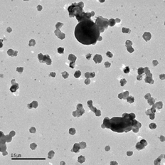 FIG. 9 TEM image of a sample collected with the AQPS at 900°C and after a delay of 0.02 s from sampling to impaction on the TEM grid.