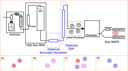 Figure 1. Schematic diagrams of the experimental set-up options. Initial particles could be prepared as: (a) all positively charged, (b) all negatively charged, (c) at charge equilibrium (neutralized), (d) no particle charges (neutral).