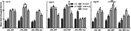 Figure 6. Regulation of Magnesium uptake associated genes.