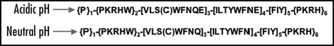 Figure 1 The amyloid sequence pattern used to detect amyloid stretches in proteins. PROSITE syntax (www.expasy.org/prosite/). ‘[ ]’residues allowed at the position; ‘{ }’ residues forbidden at the position; ‘-’ separates each pattern element. Taken from Lòpez de la Paz and Serrano, 2004 © by The National Academy of Sciences of the USA.