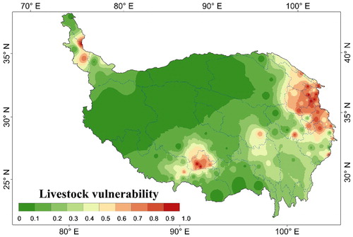 Figure 8 Spatial distribution of livestock vulnerability facing to SD in the QTP.