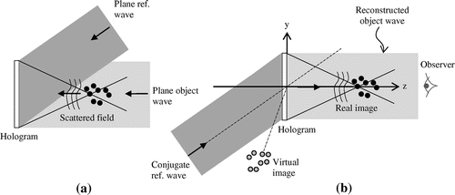Figure 6. Forward-scatter off-axis holographic particle (a) recording and (b) reconstruction setups.