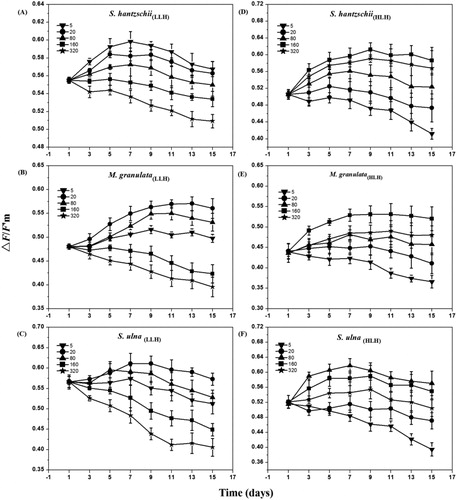 Figure 4. Variations in ΔF/F’m values of six strains of diatoms under different light intensities. The unit of light intensity is μmol photons m−2 s−1. Data are medians ± standard deviations of ΔF/F’m values, n = 3.